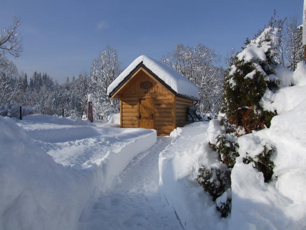 Wynajem Pokoi ,,Góry Tatry Wypoczynek Paweł Kuczyński Czarna Góra Pokój zdjęcie